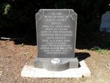 image of grave number 335816